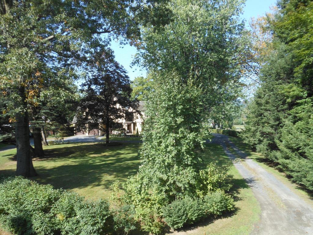 The Carriage House Loft Apartment Кингстън Екстериор снимка
